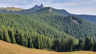 Pietrele Doamnei din Munții Rarău