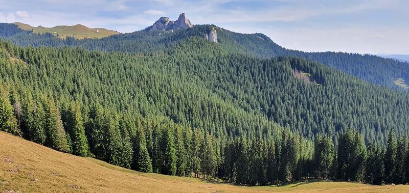 Pietrele Doamnei din Munții Rarău