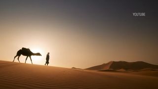 VIDEO „Singură am fost într-o croazieră pe Nil”. Vacanțele „solo travel”, un trend ascedent