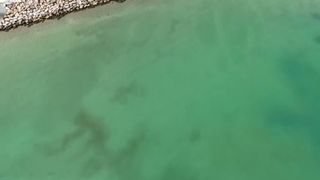 VIDEO Plămânul Mării Negre: Câmpia subacvatică artificială care salvează litoralul românesc