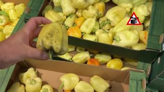 VIDEO Cumpărăm resturi stricate la preț mare