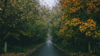 prognoza meteo, septembrie 2025, ANM