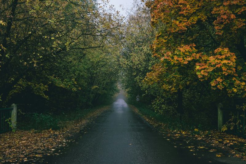 prognoza meteo, septembrie 2025, ANM