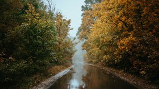 Revin ploile în România. De când scad temperaturile în țară. Prognoza ANM pentru următoarele două săptămâni