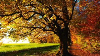 Destinatii de toamna