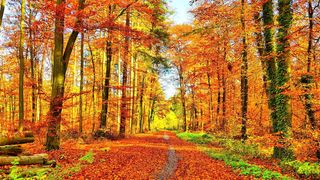 Destinatii de toamna