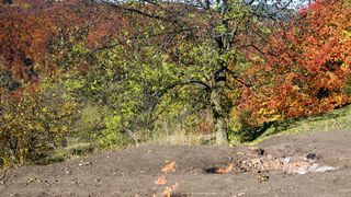 5 destinații inedite din județul Buzău