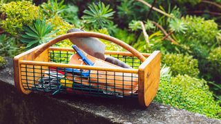 (P) Beneficiile utilizării cutiilor de depozitare din plastic &icirc;n grădini urbane