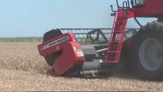 VIDEO Recolte record, prețuri record! România exportă cereale, dar plătește mai mult pe pâine și ulei