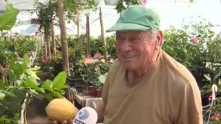 Nea Ioan, bătr&acirc;nul care a crescut lăm&acirc;i uriașe la poalele munților