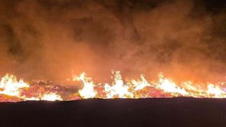 Incendiu uriaș la o hală din Arad. Flăcările au cuprins peste 6000 de metri pătrați. 10 angajați s-au autoevacuat din calea dezastrului