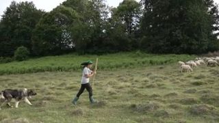 Dumi Ciobănița, lecție de viață la st&acirc;nă