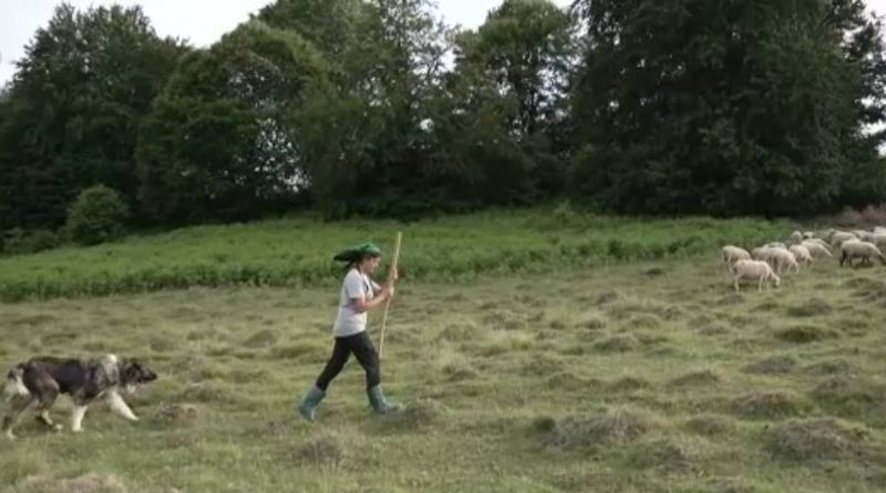 Dumi Ciobănița, lecție de viață la stână