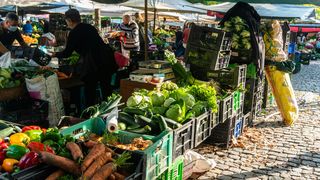 VIDEO Sărăcia extremă în România. Oamenii se hrănesc din resturile aruncate:  „Sunt un pic storcite, dar n-au nimic, sunt bune”