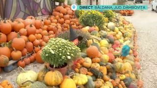 VIDEO &bdquo;Muncim foarte mult&rdquo;. Gospodarii din județul D&acirc;mbovița și-au expus la poartă recolta de dovleci