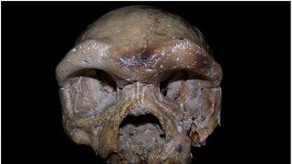 "Ar putea fi Omul Dragon". Un craniu descoperit în China, vechi de 1 milion de ani, ar putea rescrie istoria umanității