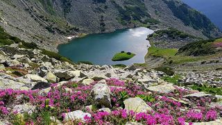 Parcul Național Retezat