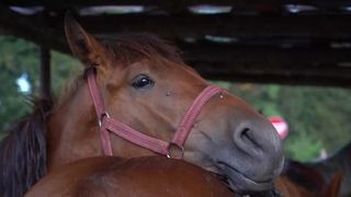 La pas prin Brașov, inima Rom&acirc;niei