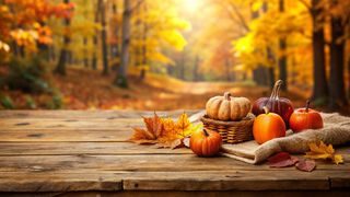 Curiozități despre luna octombrie: Ce este, de fapt, vara indiană și care este legătura cu a doua lună de toamnă