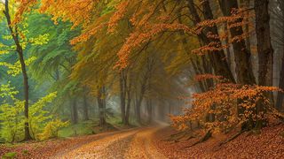 Destinații de toamnă