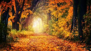 3 destinații din România mai puțin cunoscute, perfecte de toamnă