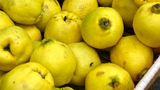 Cum se face pelteaua de gutui: Rețeta bunicii