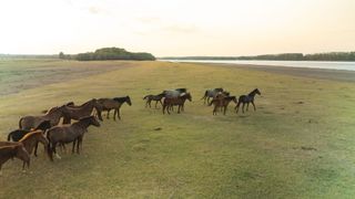 S&acirc;mbătă, de la ora 14:45, &icirc;n &rdquo;ROventura&rdquo;, Călărași, oraşul cu potenţial turistic uriaş, redecoperit la pas