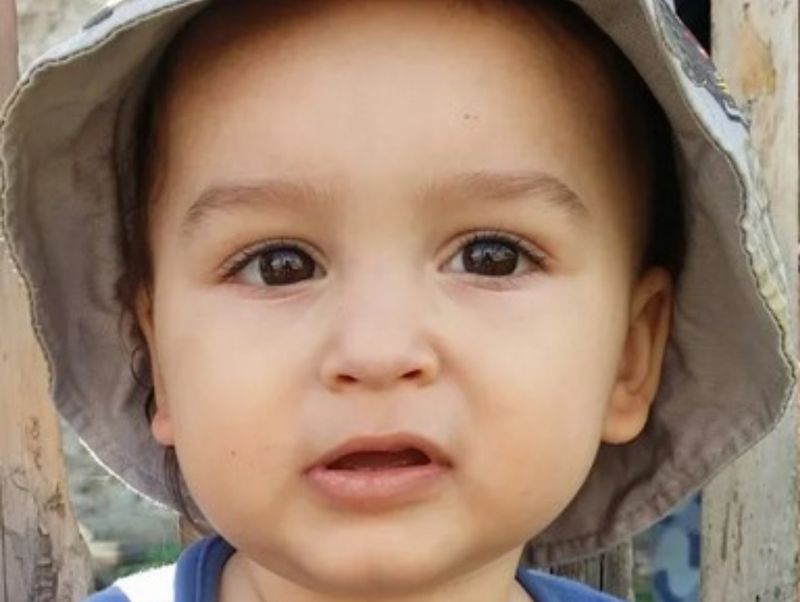 Cazul copilului de 3 ani ucis de câini la Mărășești