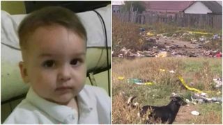 Noi detalii ies la iveală în cazul copilului de 3 ani ucis de câini la Mărășești