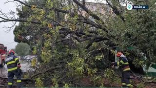VIDEO Urmările codului roșu de ploi. Ce spun meteorologii