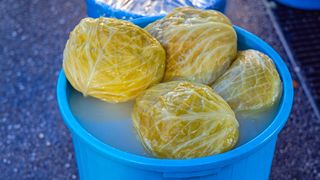 Când se pune varza la murat? Rețeta tradițională