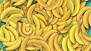 Test - găsește șarpele