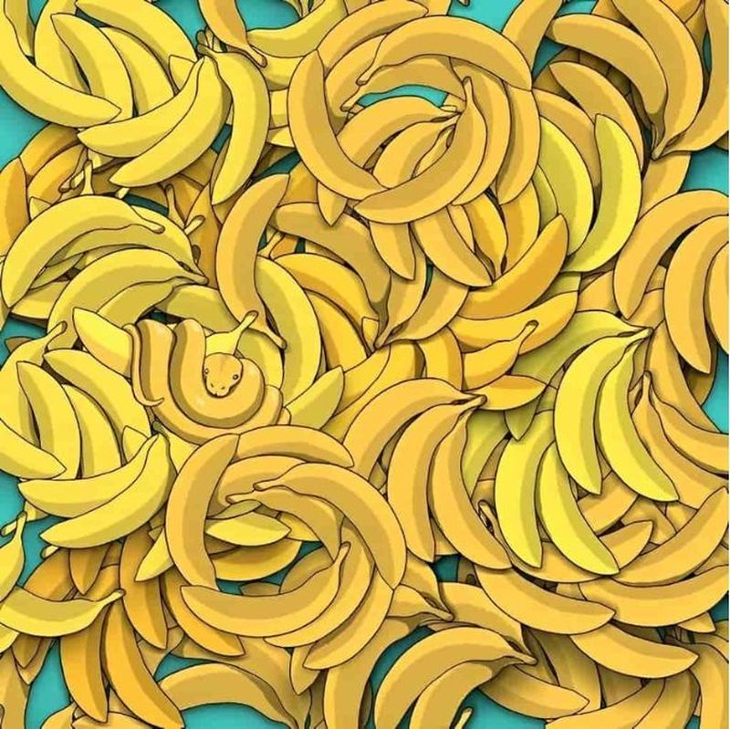 Test - găsește șarpele