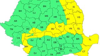 cod galben vijelii, vant puternic 