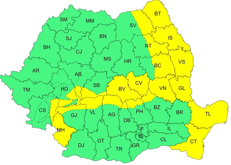 cod galben vijelii, vant puternic 