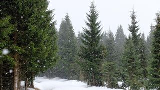 Ce se spune despre anii în care ninge încă din luna octombrie