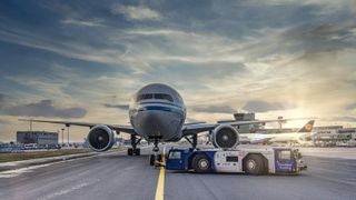 O companie aeriană a pierdut câinele unei pasagere. Decizia șocantă a Curții de Justiție a Uniunii Europene a stârnit controverse. Cât va primi femeia despăgubiri