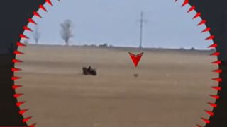 Scene revoltătoare pe un câmp din Arad