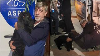 C&acirc;inele a fost preluat de ASPA București