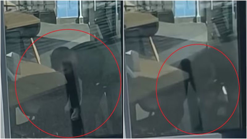 Un angajat al unui restaurant din București, filmat în timp ce își lovește cățelul cu pumnii