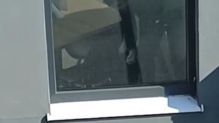  Un angajat al unui restaurant din București, filmat c&acirc;nd &icirc;și lovește cățelul fără milă