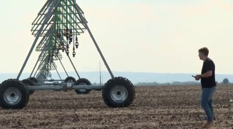 Iulian Mone, tânărul care a lăsat cariera în IT și face agricultură la țară