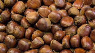 Castanul comestibil crește și &icirc;n Maramureș