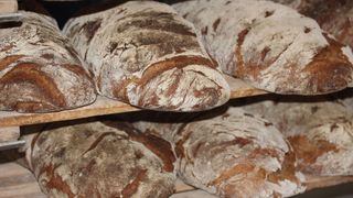 VIDEO Pâinea, tot mai scumpă! Românii, nevoiți să frământe aluatul acasă sau să reducă porțiile