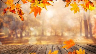 Vremea &icirc;n weekendul 25&ndash;26 octombrie 2025: