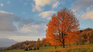 Maramureșul în imagini