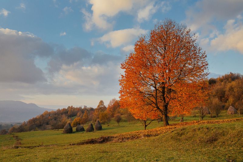 Maramureșul în imagini