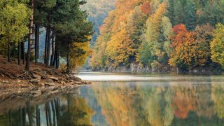 Maramureșul în imagini