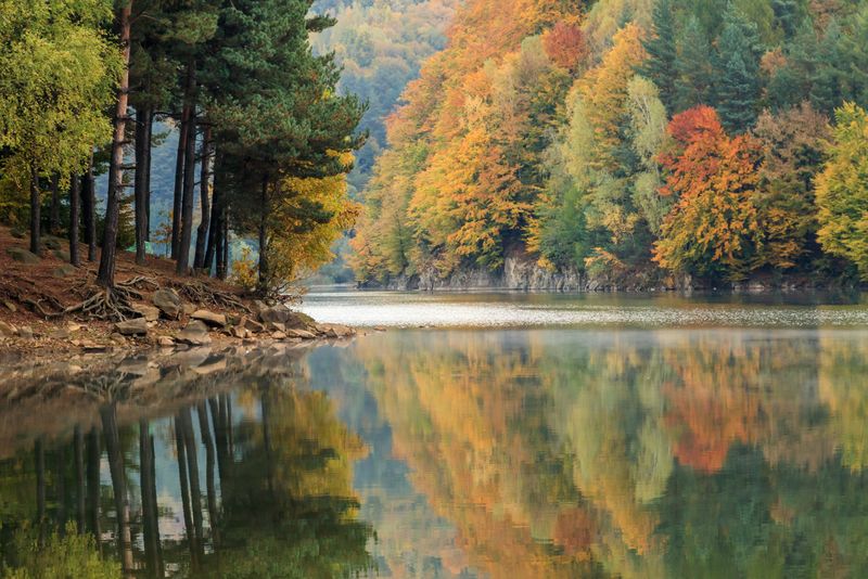 Maramureșul în imagini