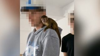 VIDEO Elevii din Focșani au indus panică în școală cu imagini false generate de inteligența artificială